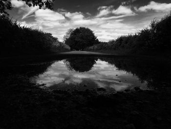 Reflection of trees in water