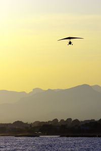 Silhouette birds flying over sea against sky