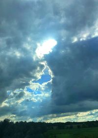 Low angle view of trees against sky