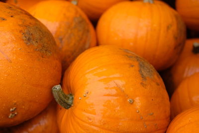 Full frame shot of pumpkins at market