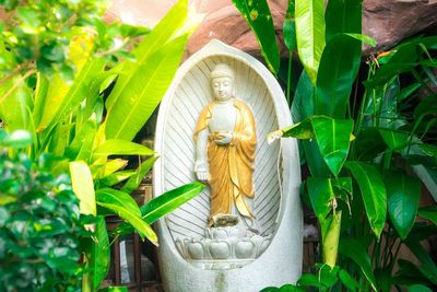 Close-up of statue against plants