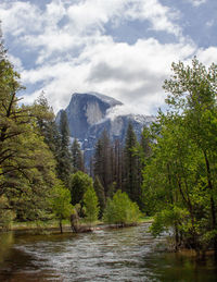 Scenic view of lake amidst trees in forest against sky