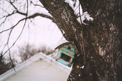 Low angle view of birdhouse on tree during winter