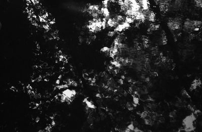 Low angle view of tree against sky