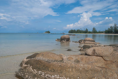 Rocks on shore at beach