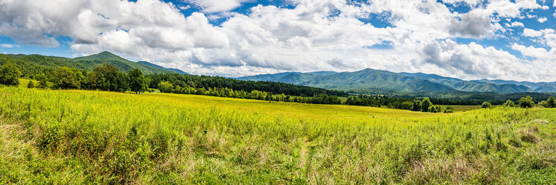 landscape