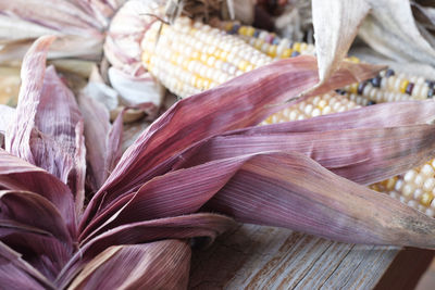 Close-up of vegetables
