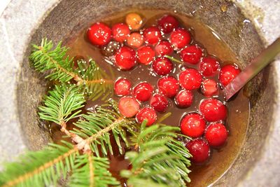 Close-up of red berries