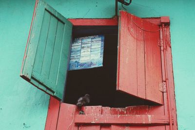 Low angle view of bird against building