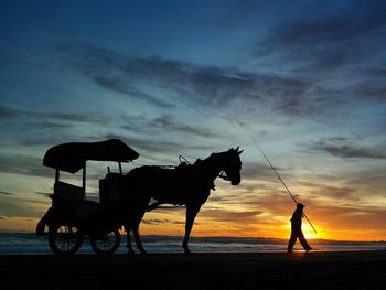 Silhouette horse cart against sky during sunset