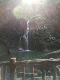 Close-up of waterfall against trees