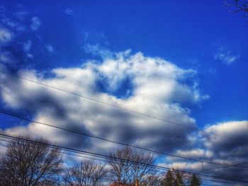 Low angle view of trees against blue sky