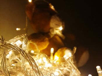 Close-up of illuminated christmas tree at night