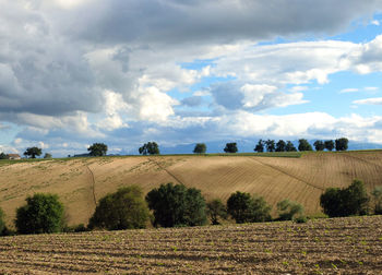 Scenic view of field against sky