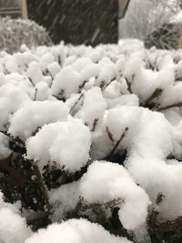 Close-up of frozen snow