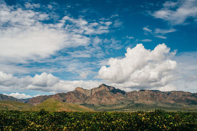 Scenic view of landscape against sky