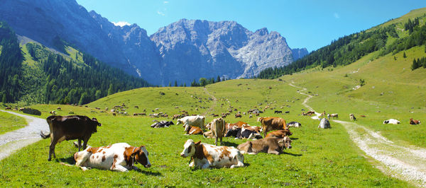 Panoramic landscape in bavaria with alps mountain range