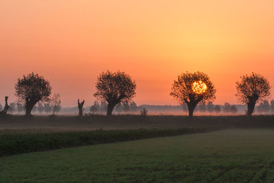 Silhouette trees on field against orange sky