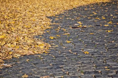 Full frame shot of yellow road