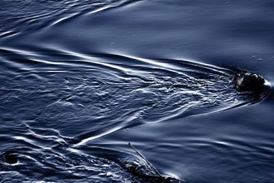 Full frame shot of swimming underwater