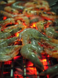 Close-up of red chili peppers