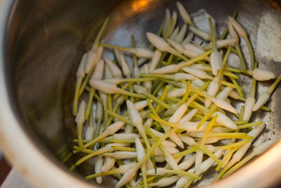 Close-up of food in bowl