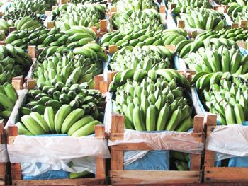 Fruits and vegetables for sale at market stall