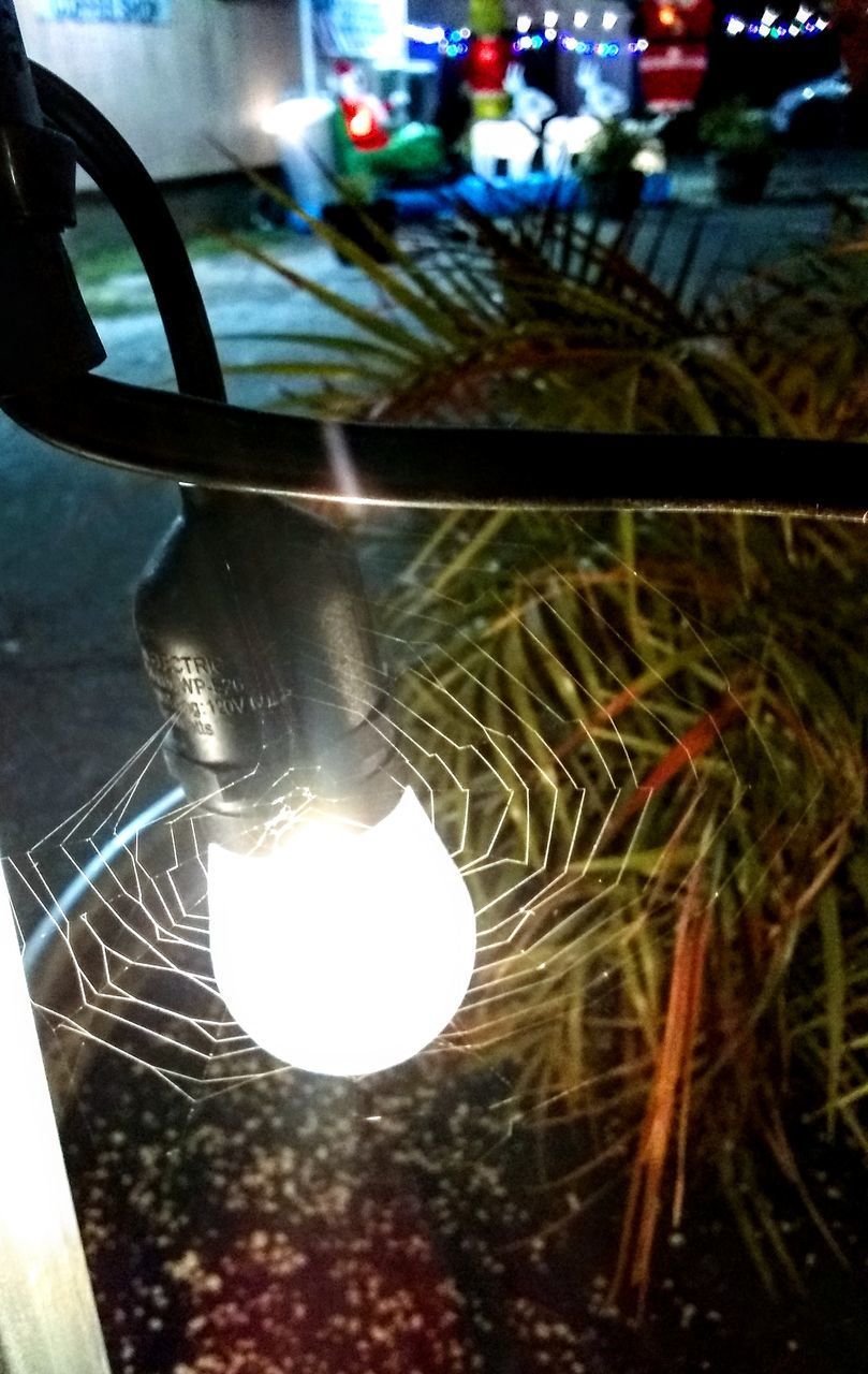 LOW ANGLE VIEW OF ILLUMINATED LIGHT BULB HANGING FROM WALL