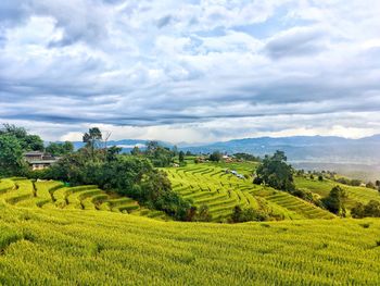 Scenic view of agricultural field against sky