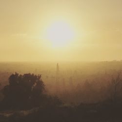 Silhouette trees on landscape against sky during sunset