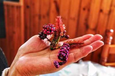 Close-up of hand holding purple flower