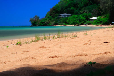 Scenic view of calm sea