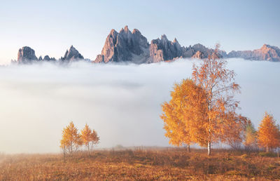 Scenic view of landscape against sky during autumn