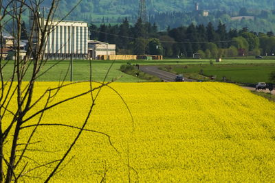Scenic view of field against yellow sky