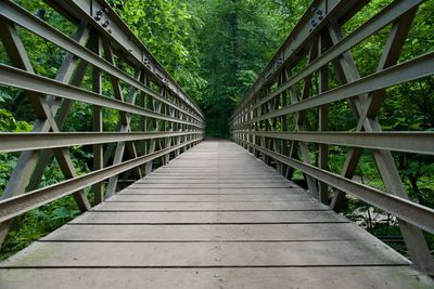  footbridge in a forest 