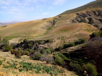 Scenic view of landscape against sky