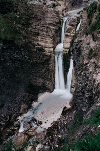 Scenic view of waterfall in forest