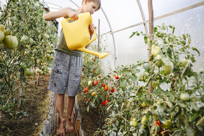 Boy watering plants in greenhouse