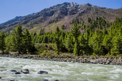 Various views of chitkul valley, himachal pradesh