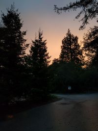 Silhouette trees against sky during sunset