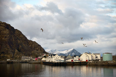 Birds flying over lake against sky