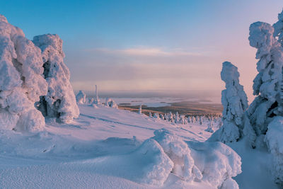 Scenic view of snow covered land against sky during sunset