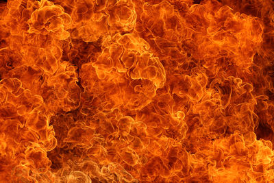 Close-up of fire against black background