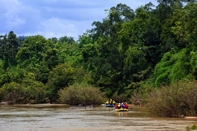 People by river against trees