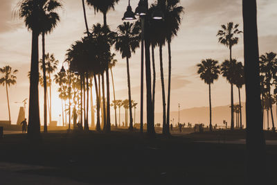 Silhouette of palm trees at sunset