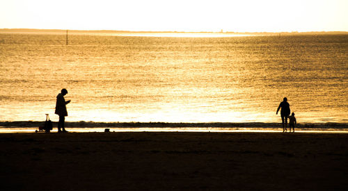 Silhouette people on beach at sunset