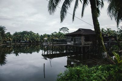 Scenic view of palm trees against sky