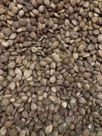 Full frame shot of onions for sale