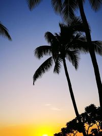 Low angle view of silhouette palm trees against sky during sunset