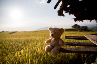 Stuffed toy on field against sky